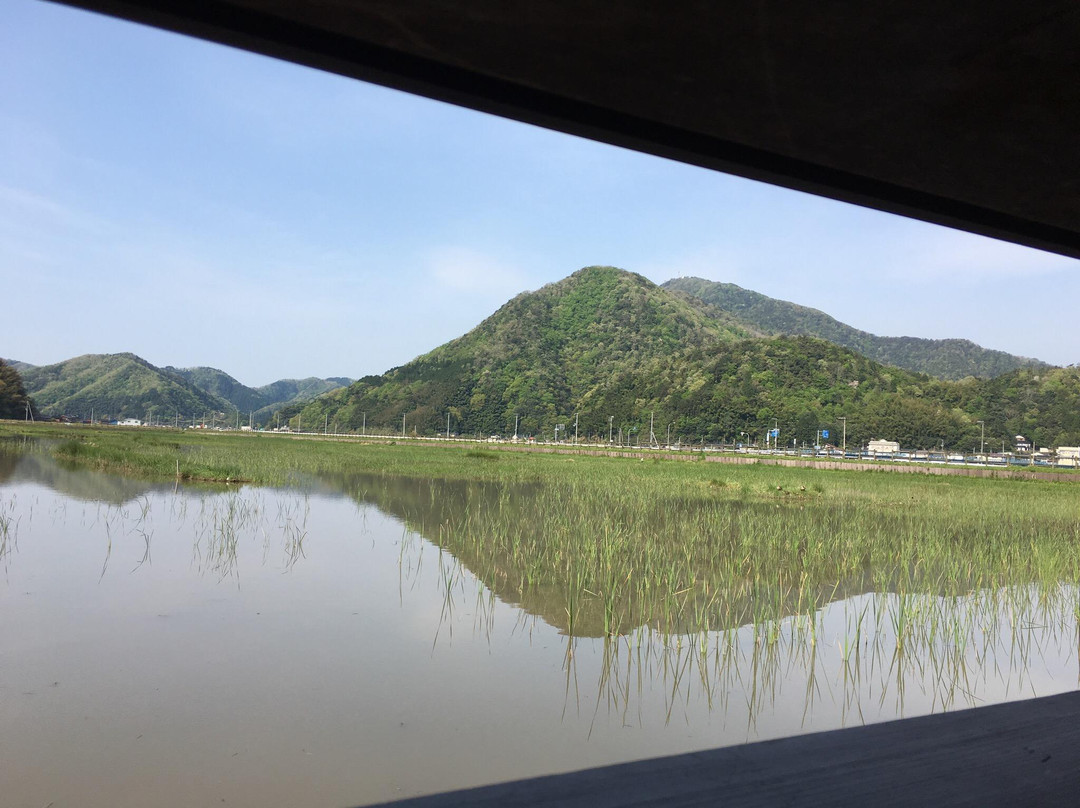 Hachigoro's Tojima Wetland景点图片