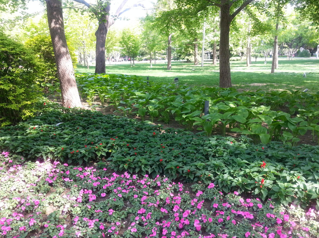 万寿公园-北京市必去景点