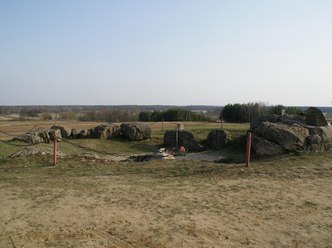 Pomnik bitwy pod Wizną景点图片