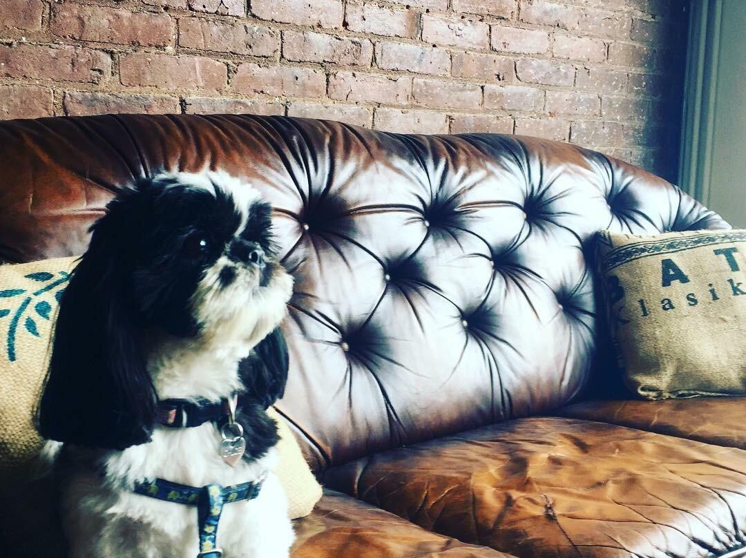 Boonton Coffee Company