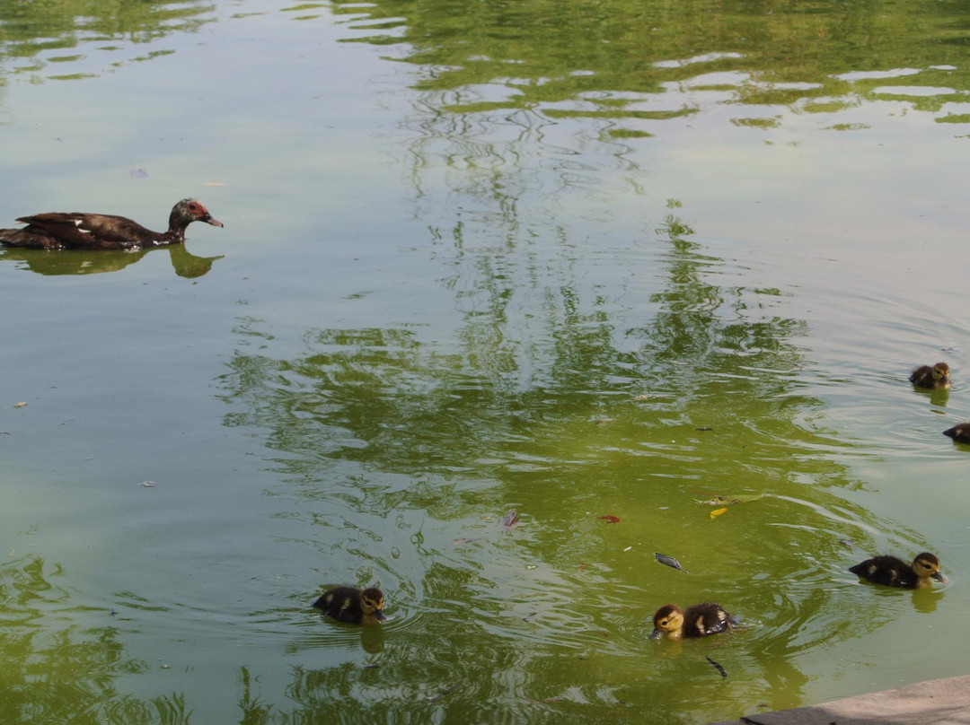 Parque Ninos Heroes-蒙特雷必去景点