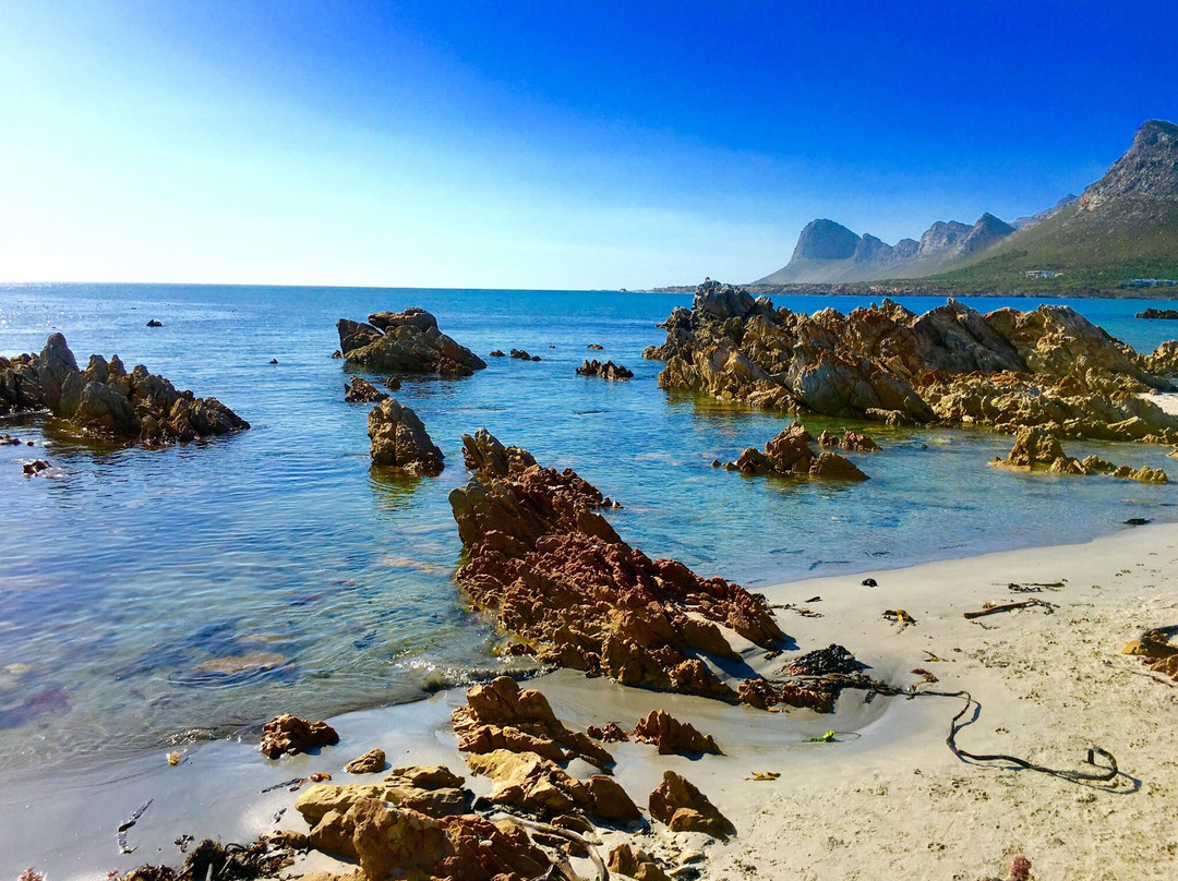 Pringle Bay旅游攻略图片