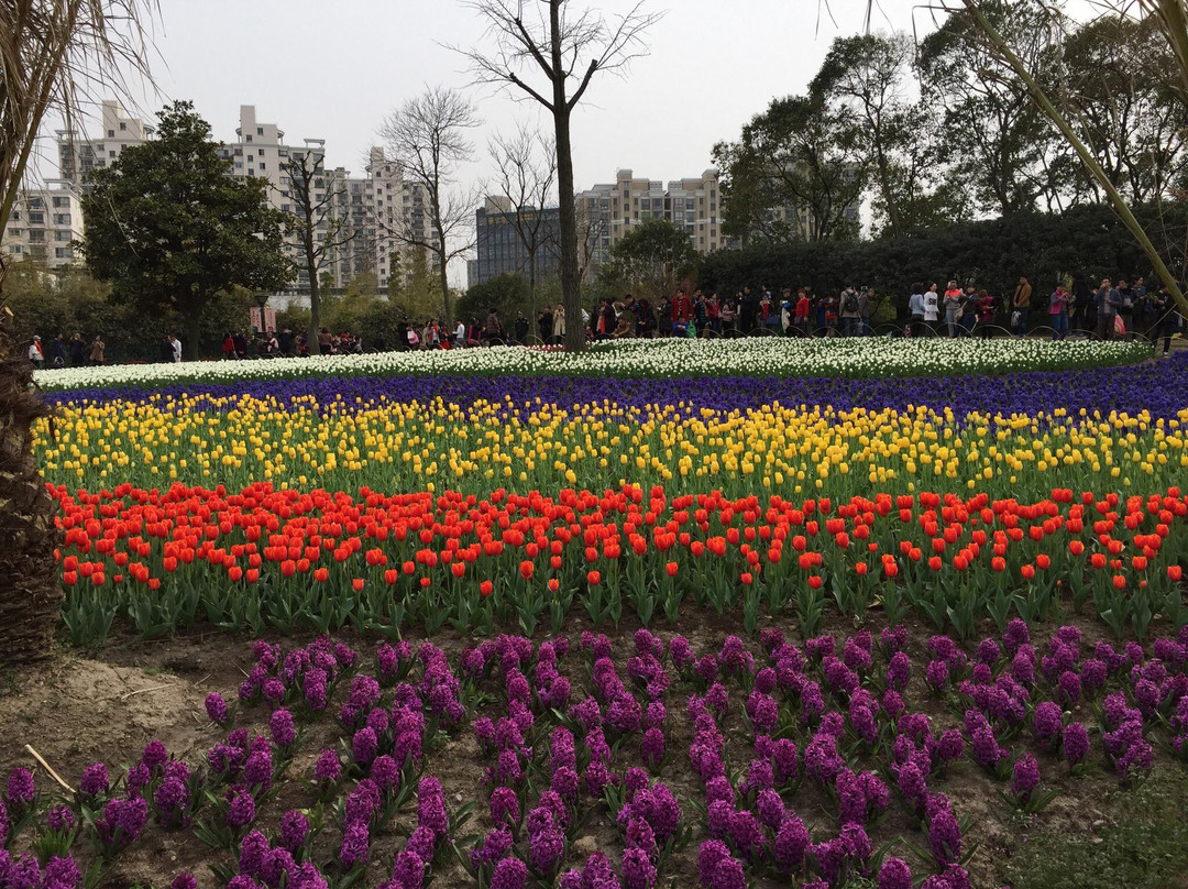 大宁灵石公园-上海市必去景点