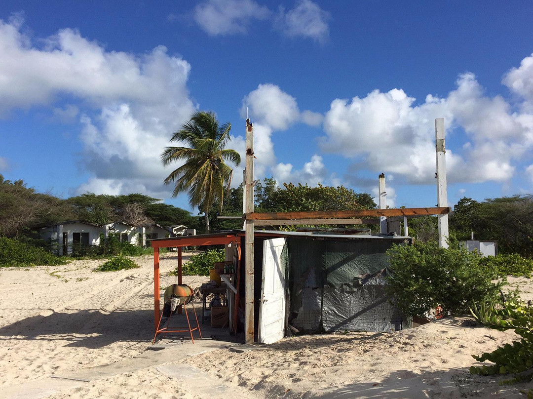 Pink Sand Beach-巴布达必去景点