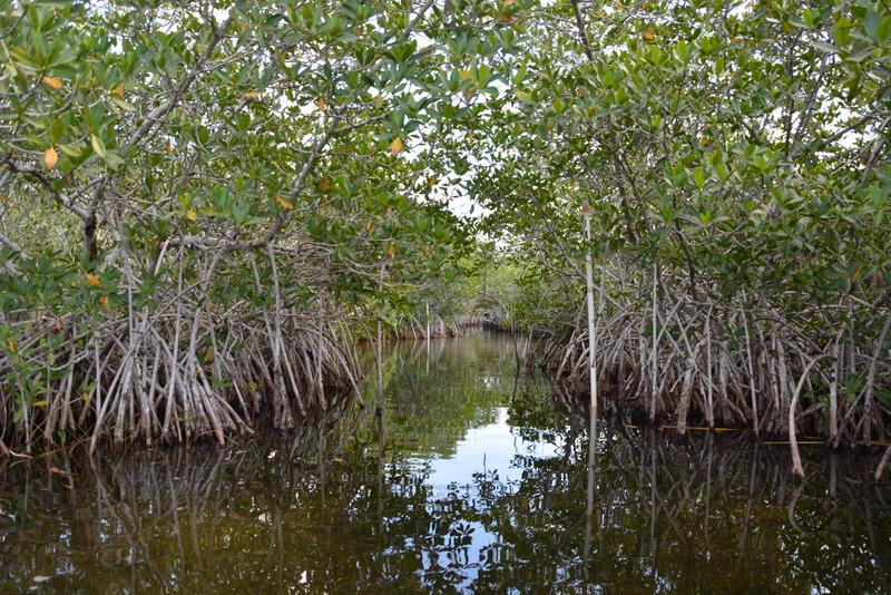 Nine Mile Pond Canoe Trail-大沼泽国家公园必去景点