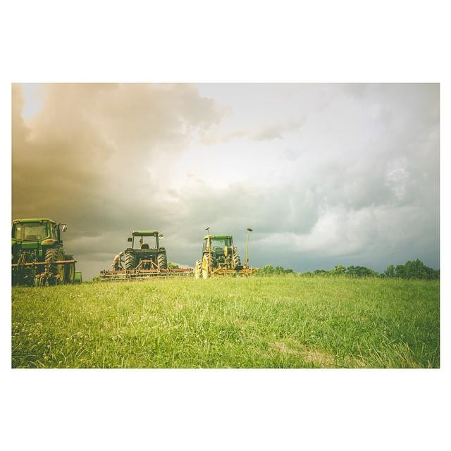 Mt. Olympus Farm-Ruther Glen必去景点