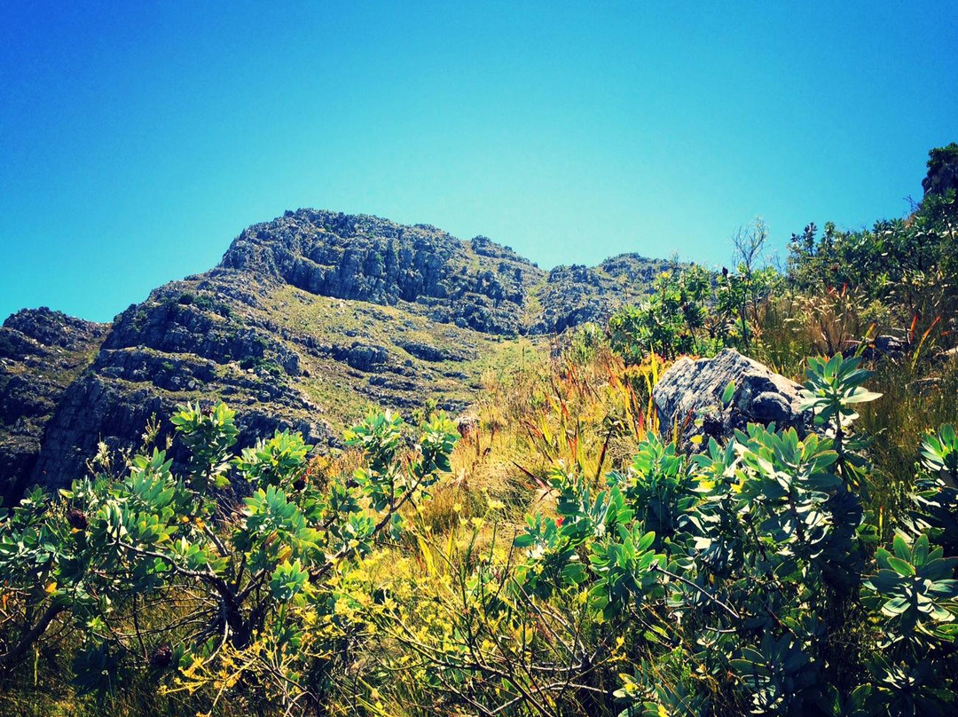 西索美塞旅游攻略图片