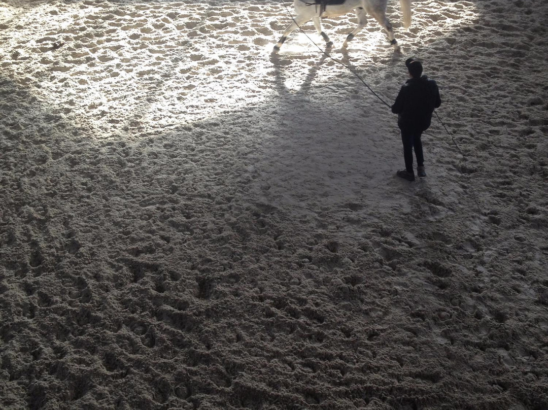 Pódio D'Aventura Equestrian Center景点图片