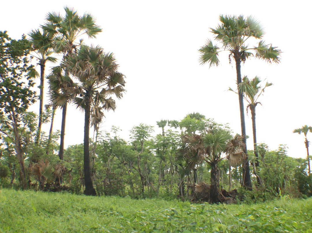 Ropet Beach-Sumenep必去景点