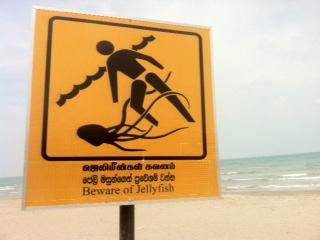 Pennai Causeway-贾夫纳必去景点