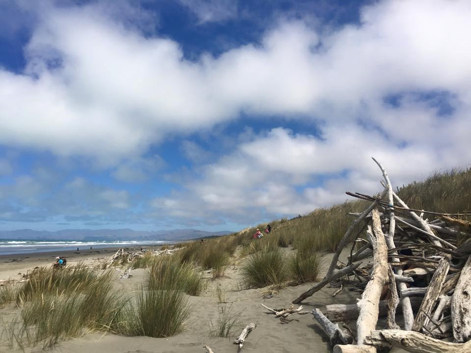 斯宾塞公园-基督城必去景点