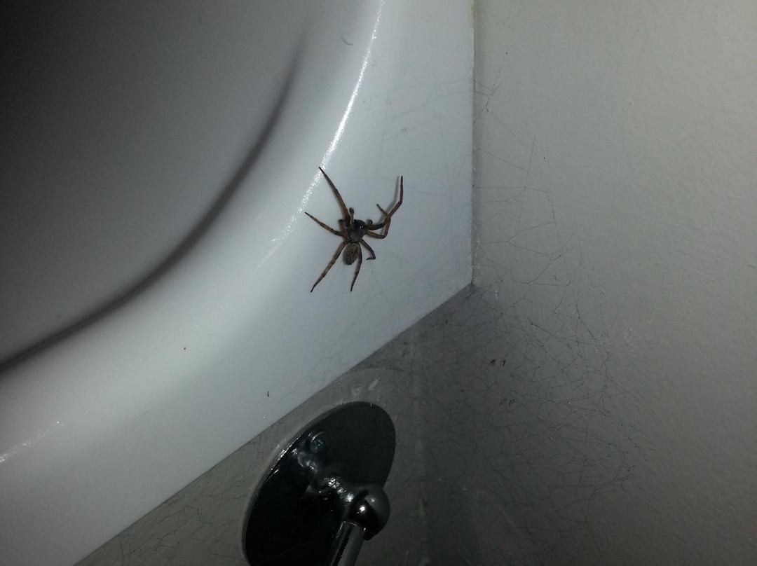 Anchor Lodge Motel主图