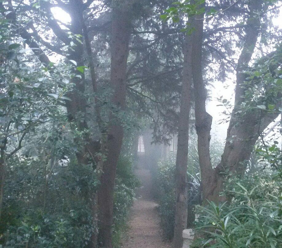 Parco Giardino dei Ligustri - Giardino Pittoresco-Loreto Aprutino必去景点