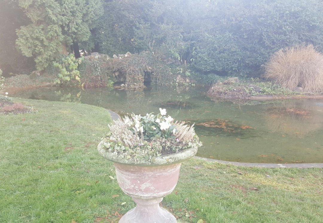 Trompetenmuseum & Schloss Schonau-Bad Sackingen必去景点