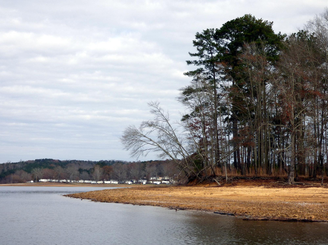 Smith Lake Park景点图片