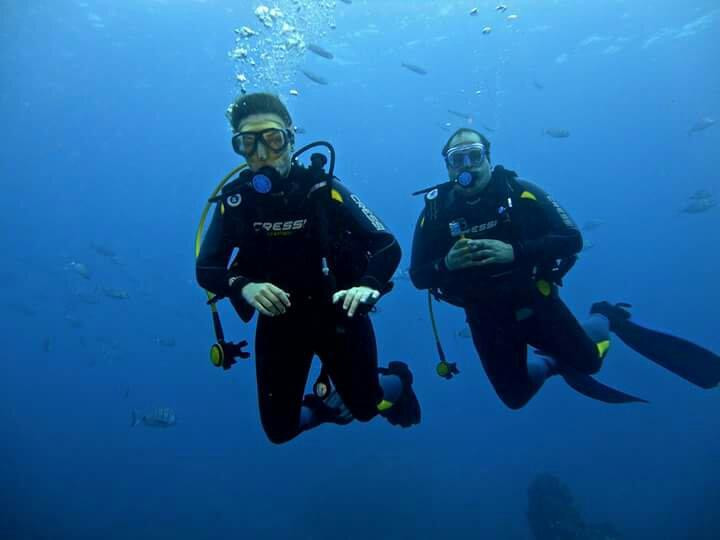 Dive Club Tenerife - Ocean Project-Palm-Mar必去景点