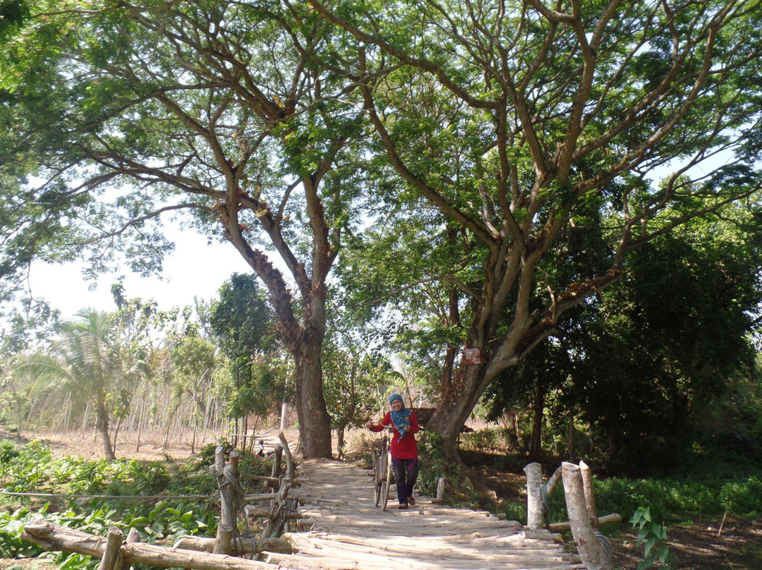 Nanggelan Beach景点图片