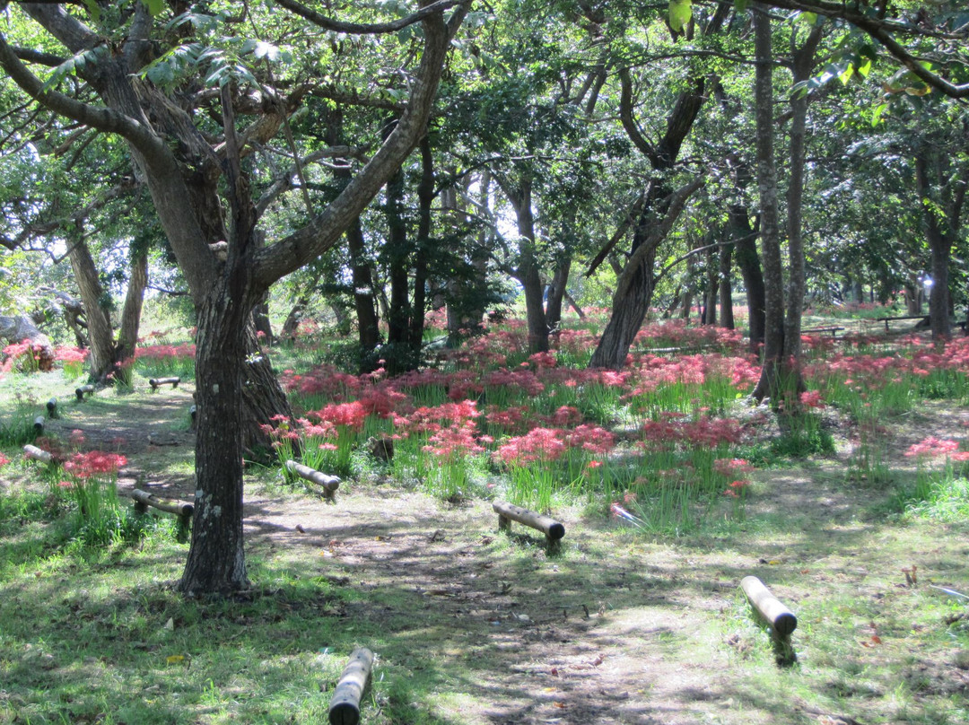 Katsurahama Enchi-高岛市必去景点