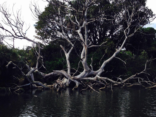 Punting On The Lake-墨尔本必去景点