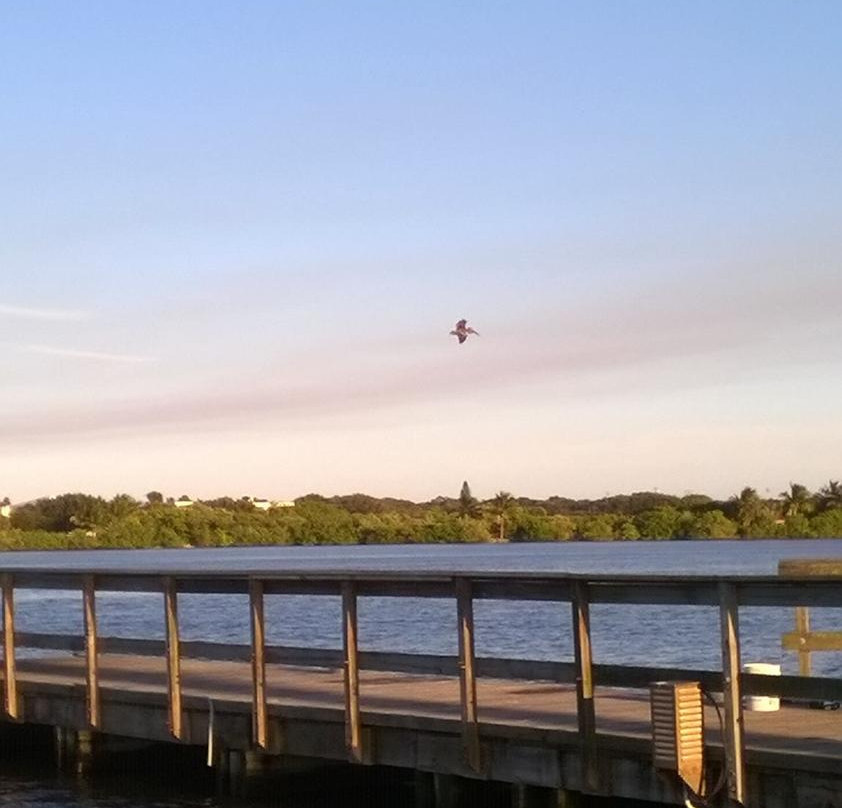 Royal Palm Pointe Park-维罗海滩必去景点