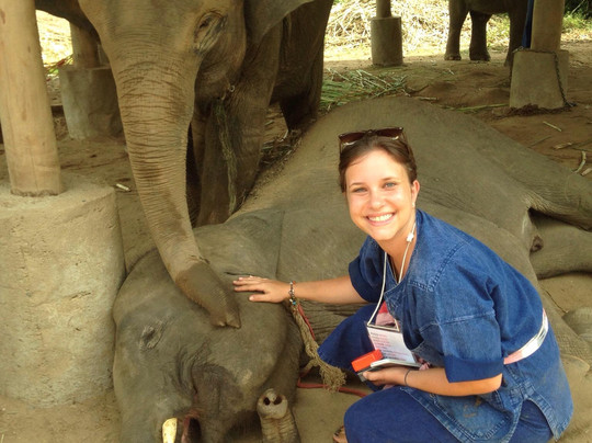 昌泰大象保护区-清迈必去景点