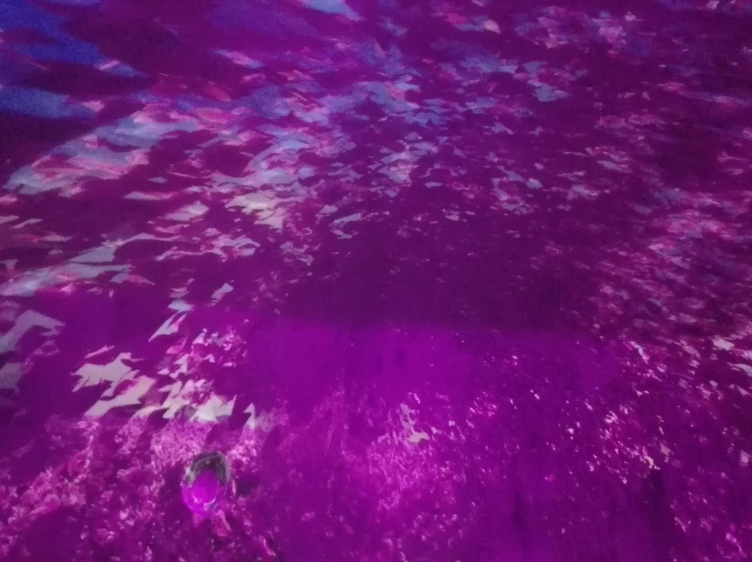 昆明花之城豪生国际大酒店主图