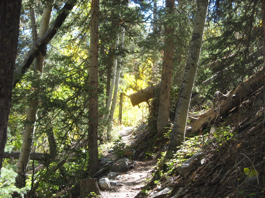 Baker Lake Trail-Great Basin National Park必去景点