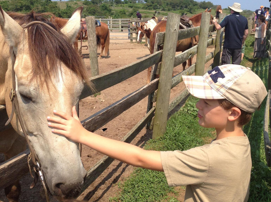 Deep Hollow Ranch-蒙托克必去景点