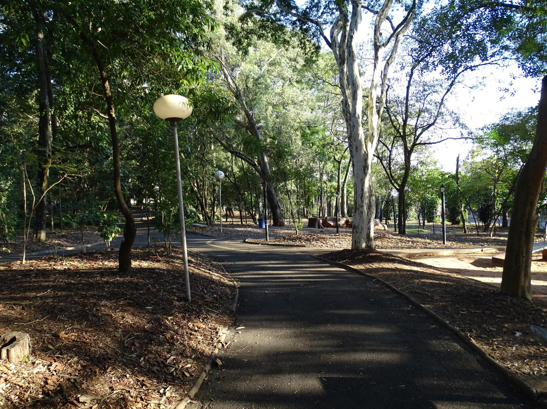 Bosque da Comunidade景点图片