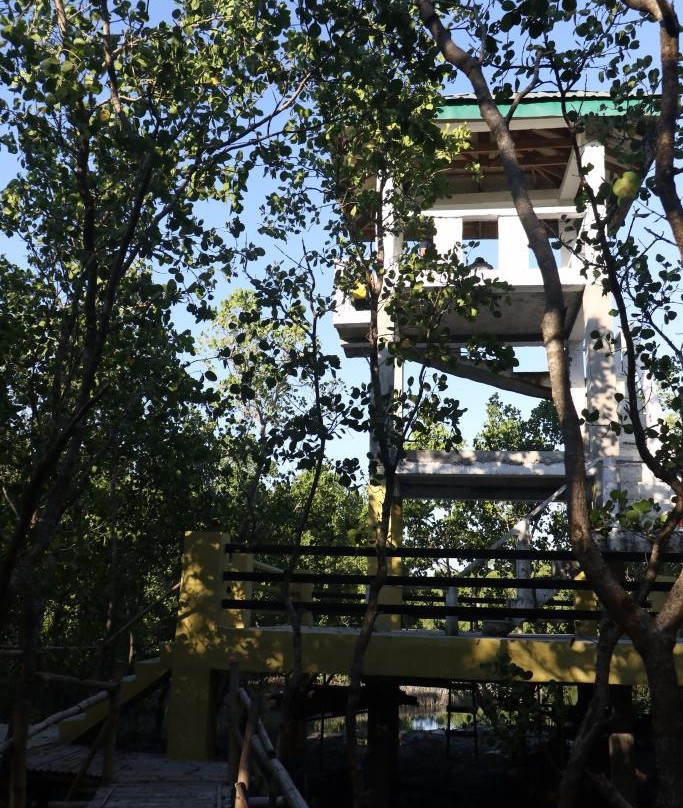 Silonay Mangrove Conservation Area and Ecotourism景点图片