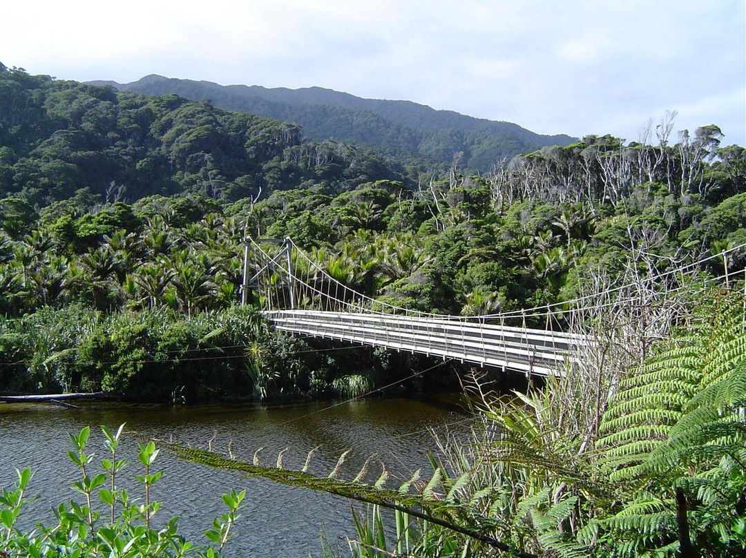 Kahurangi Guided Walks景点图片