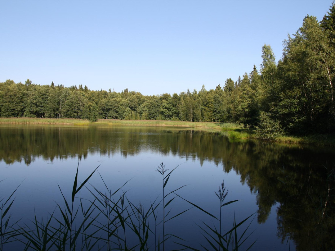 Skuleskogen Nationalpark景点图片