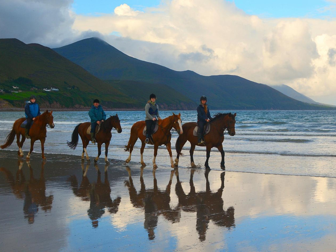 Rossbeigh Beach Horse Riding Centre
