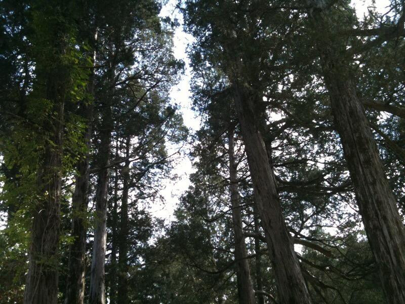Strawberry Plains Audubon Center景点图片