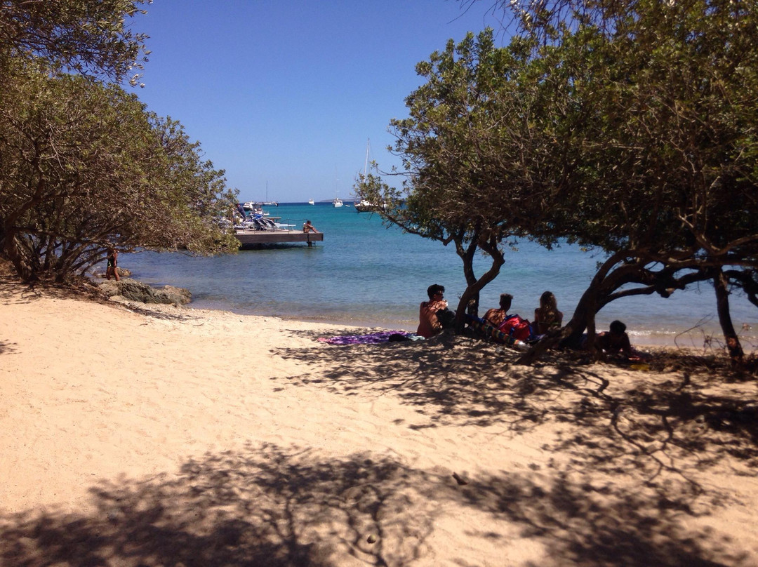 Mali Beach Bar-帕劳必去景点
