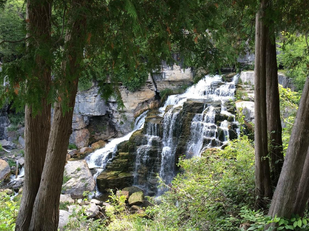 Travellers Motel & Restaurant主图