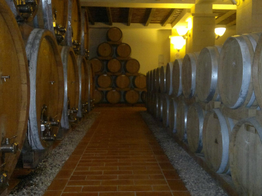 EXCURSIONSICILY Private Tours di Minafo Gioacchino-巴勒莫必去景点