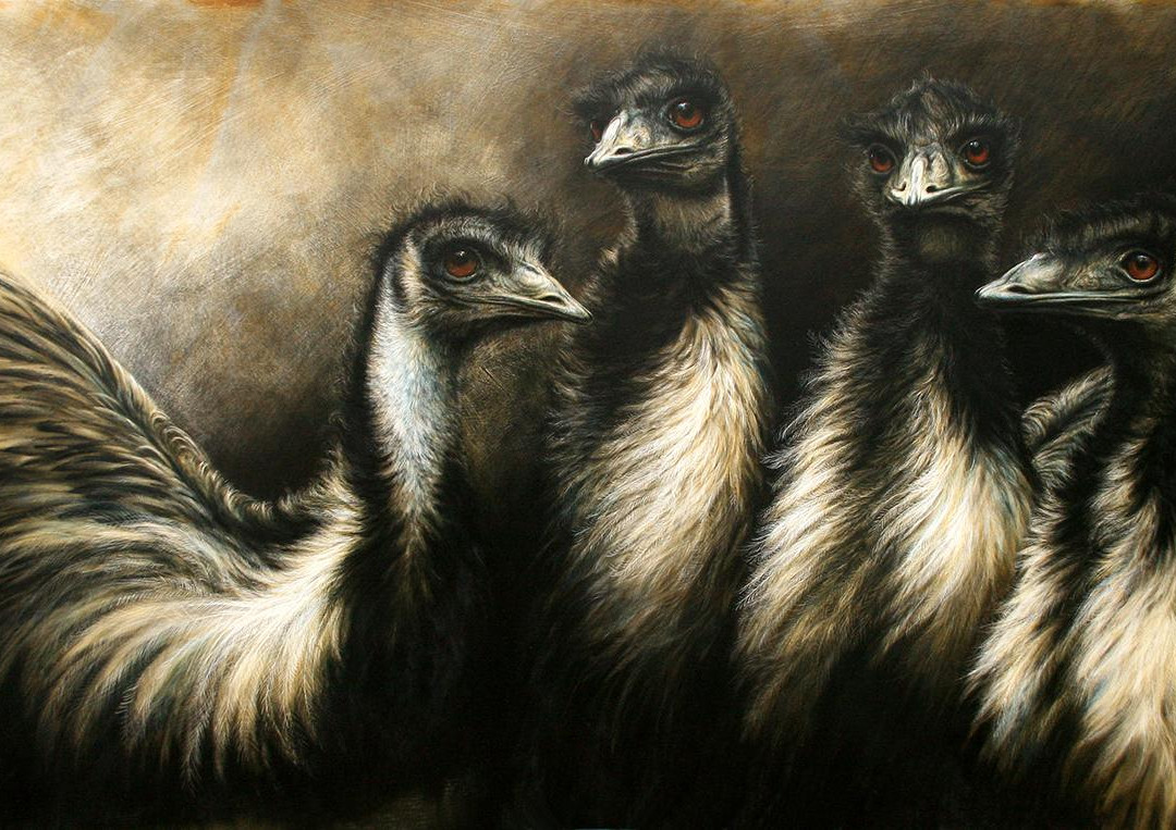 Steve Morvell Wildlife Art-贺思盖必去景点