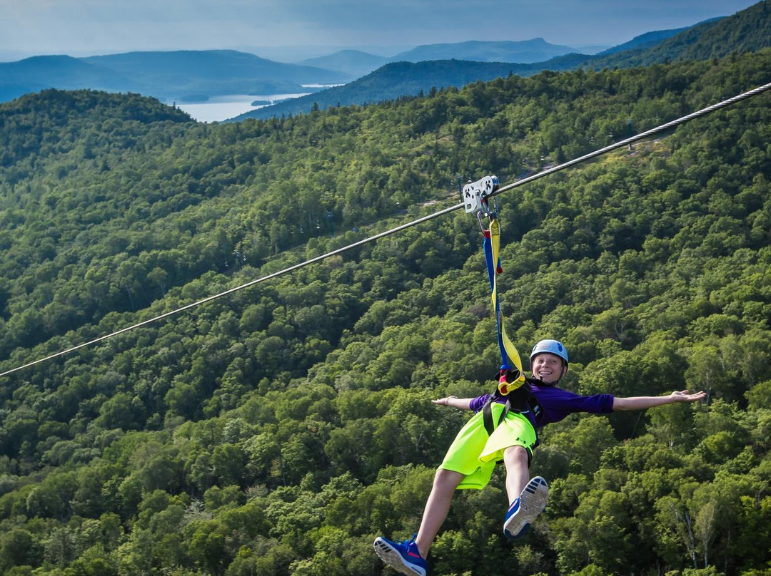 Ziptrek Ecotours景点图片