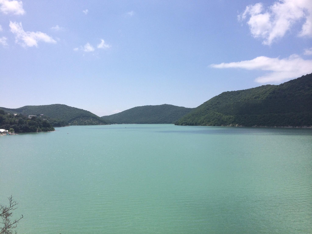 Abrau-Durso Winery景点图片
