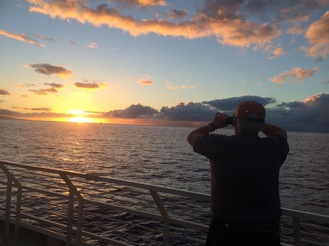 太平洋鲸鱼基金会-玛阿拉也亚必去景点