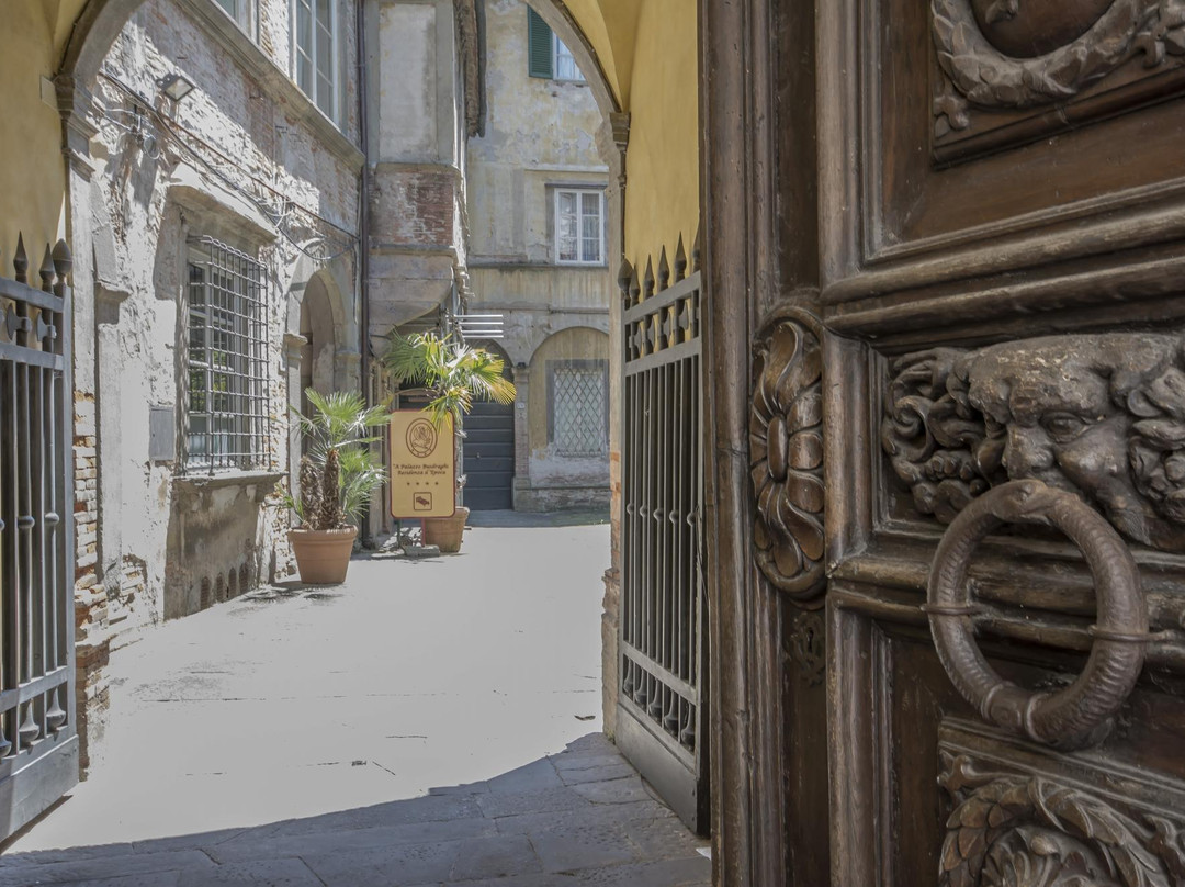 卢卡酒店住宿-A Palazzo Busdraghi, Residenza d'Epoca