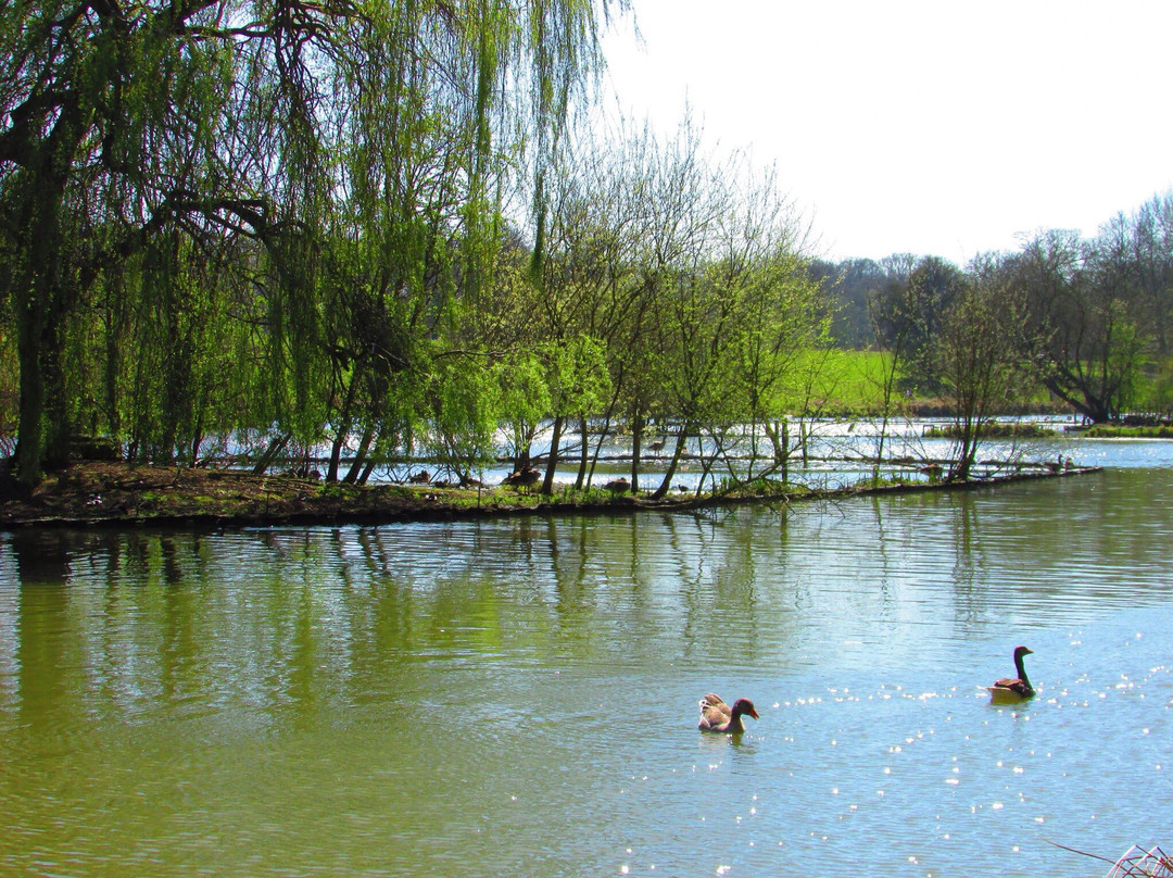 Corby Boating Lake-科比必去景点