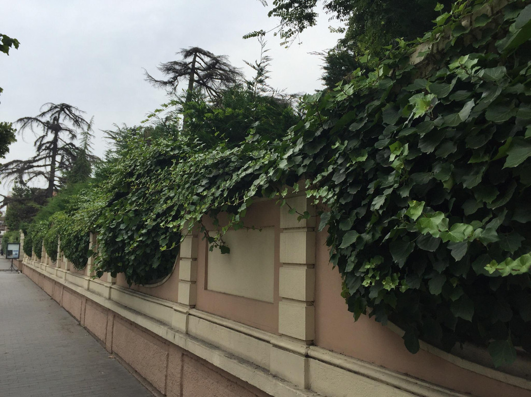 Villa Comunale景点图片
