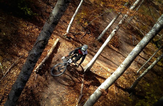 Bike Access Haute-Provence-Forcalquier必去景点