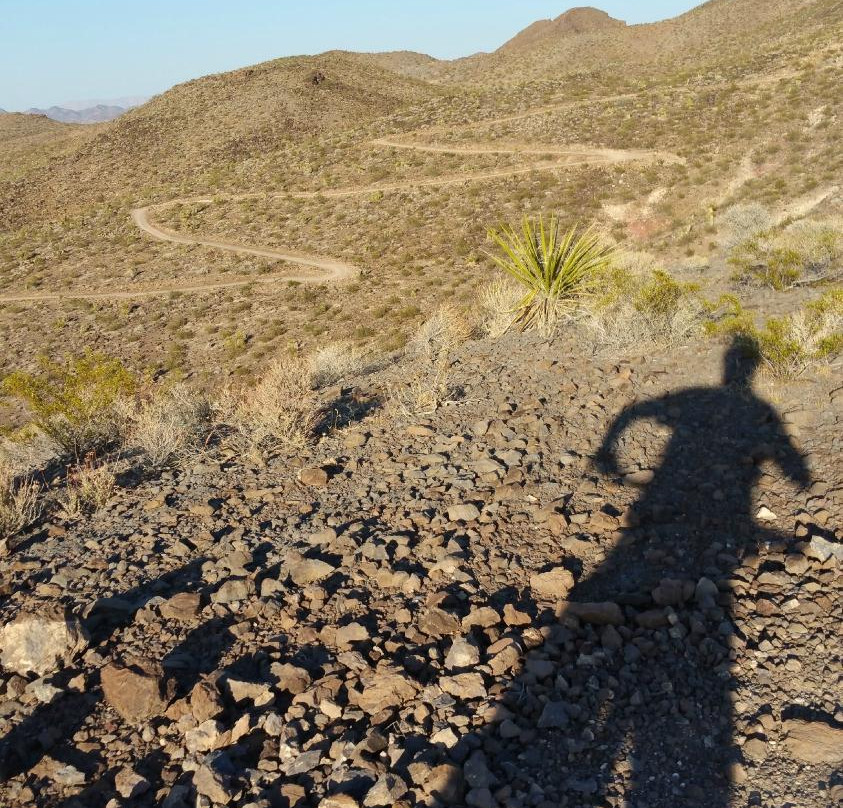 McCullough Hills Trail-亨德森必去景点