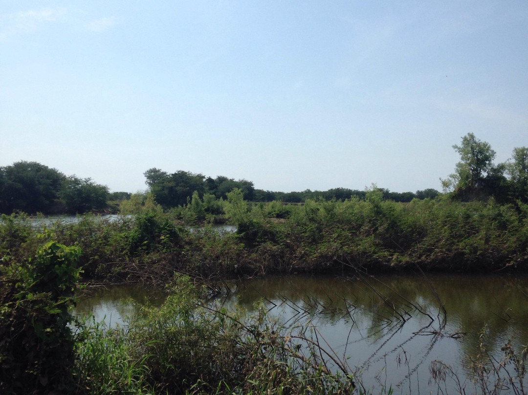 Villa Hidalgo-San Blas必去景点