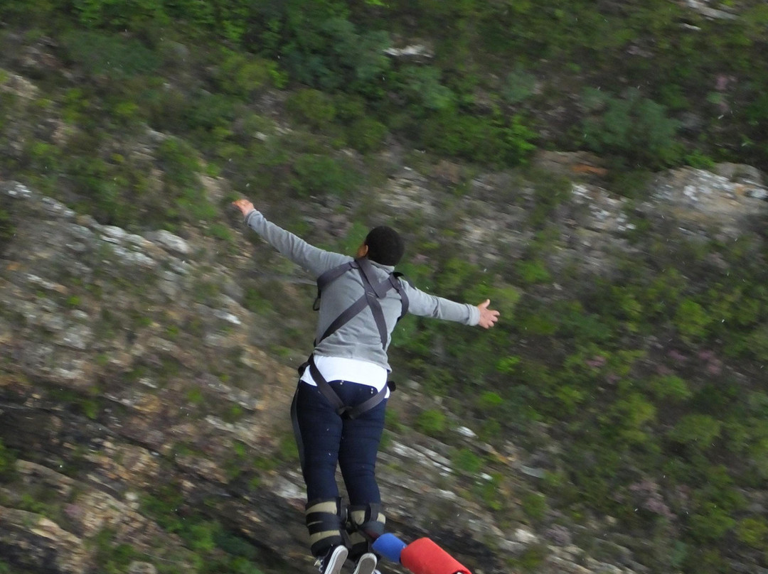 Earthstompers Adventures-开普敦中心区必去景点