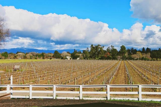 Lincourt Vineyards-索尔万必去景点