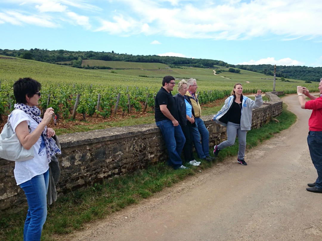 Bourgogne A La Carte Burgund Experiment  Tours-沙尼必去景点